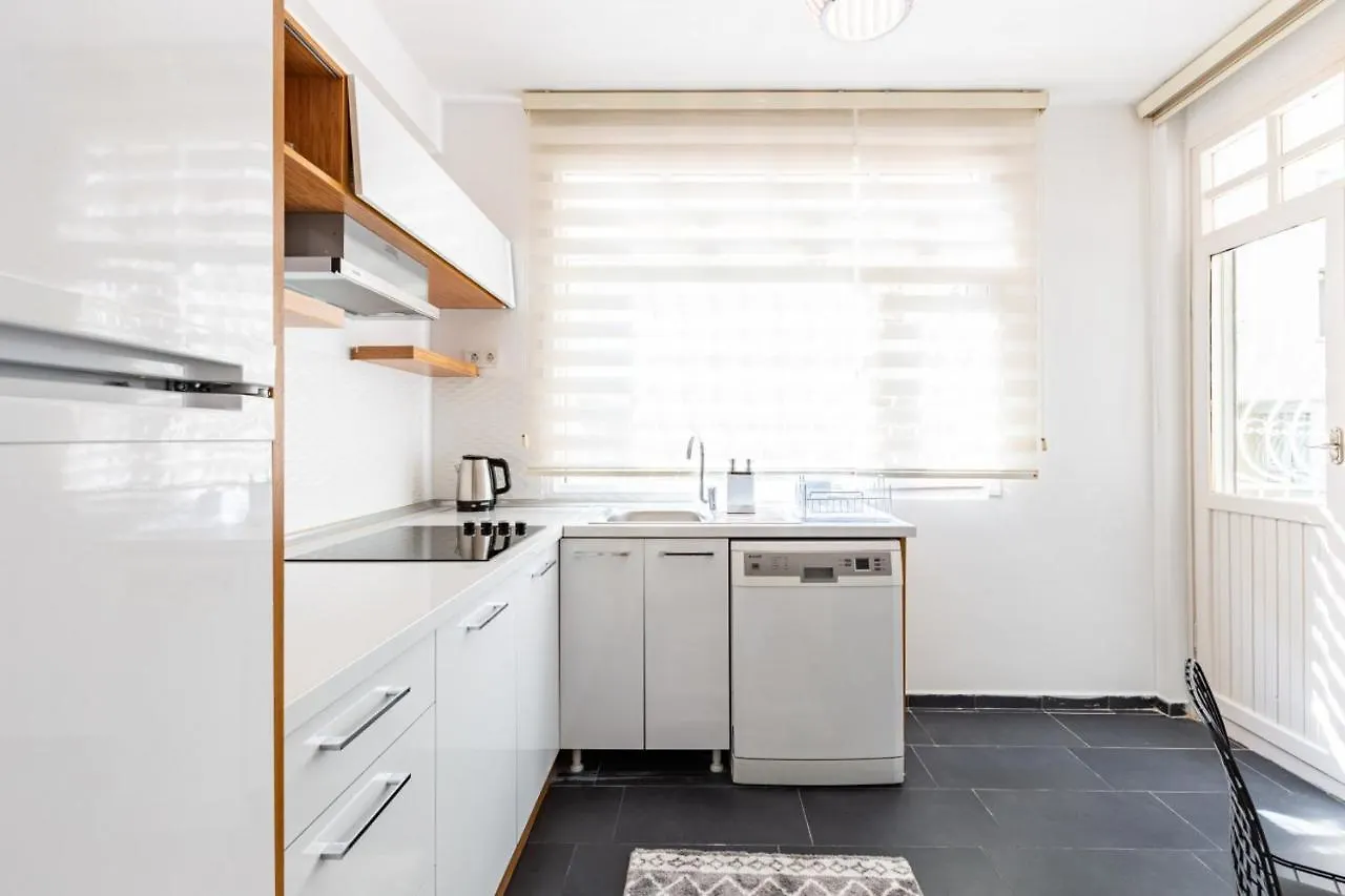 Spacious Apartment On Bagdat Street Kadikoy 伊斯坦布尔 土耳其